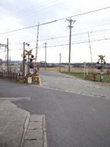 36363-5.jpg