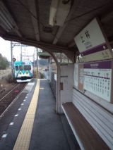 36366.jpg