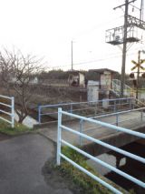 36369-5.jpg