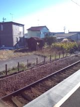 36408-8.jpg