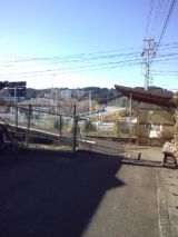 36410-2.jpg