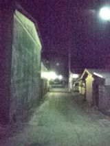 36431-6.jpg