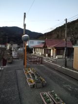36439-1.jpg