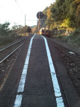 36442.jpg