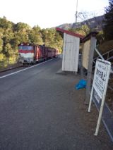 36445.jpg