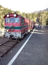 36447.jpg