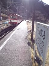 36449.jpg