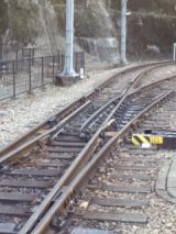 36450.jpg