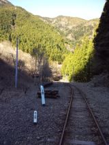 36461-5.jpg
