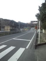 36466-5.jpg