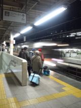 36490.jpg