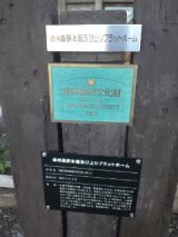 36493-4.jpg