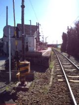 36497-3.jpg