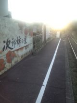 36504-1.jpg