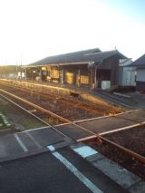 36505-1.jpg