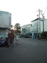 36519-6.jpg