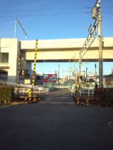 36522-3.jpg