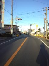 36523-5.jpg