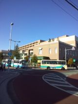 36529-4.jpg