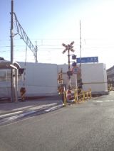 36530-2.jpg