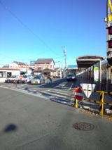 36530-4.jpg