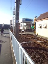 36531-3.jpg