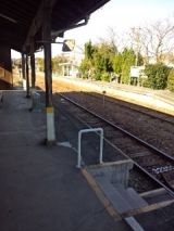 36534-1.jpg