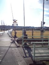 36537-3.jpg