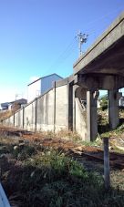 36541-2.jpg