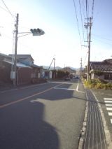 36554-5.jpg