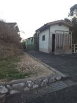 36561-3.jpg