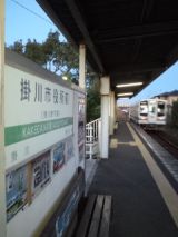 36580.jpg