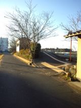 36584-2.jpg