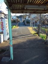 36586-2.jpg