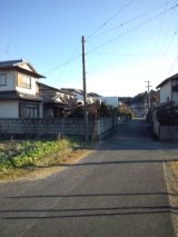 36586-4.jpg