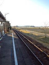 36586-6.jpg