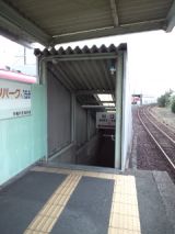 36593-5.jpg