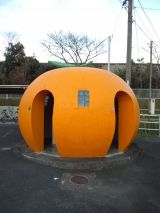 36604-8.jpg