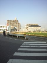 36637-6.jpg