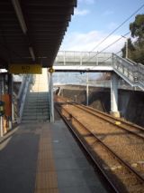 36641-1.jpg