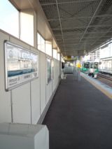 36644.jpg