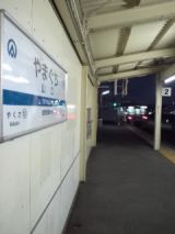 36652.jpg