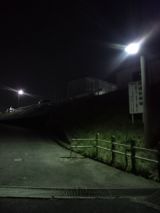 36653-5.jpg