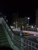 36673-5.jpg