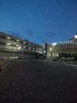 36677-3.jpg