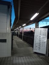 36677-5.jpg