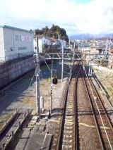 36698-1.jpg