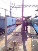 36707.jpg