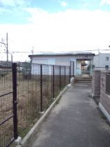 36709-3.jpg