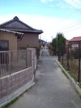 36709-4.jpg